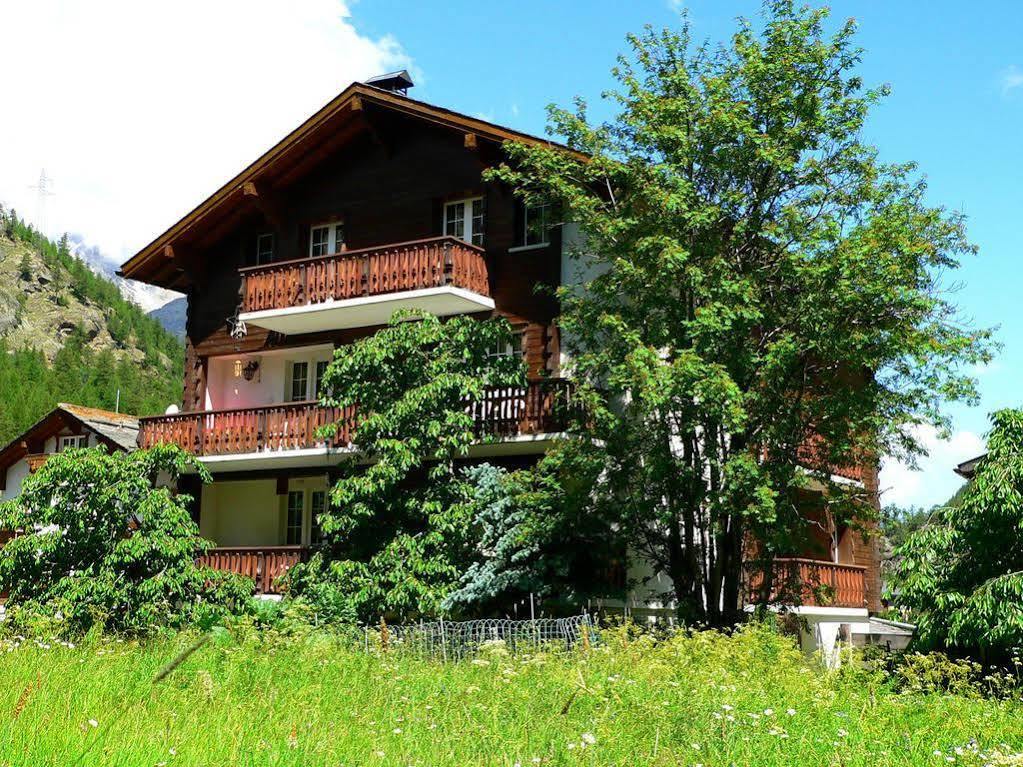 Appartamento Haus Alpenperle Saas-Almagell Esterno foto
