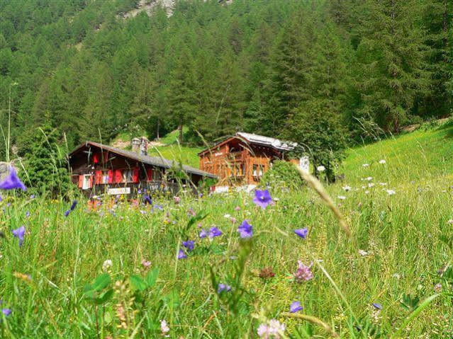 Appartamento Haus Alpenperle Saas-Almagell Esterno foto