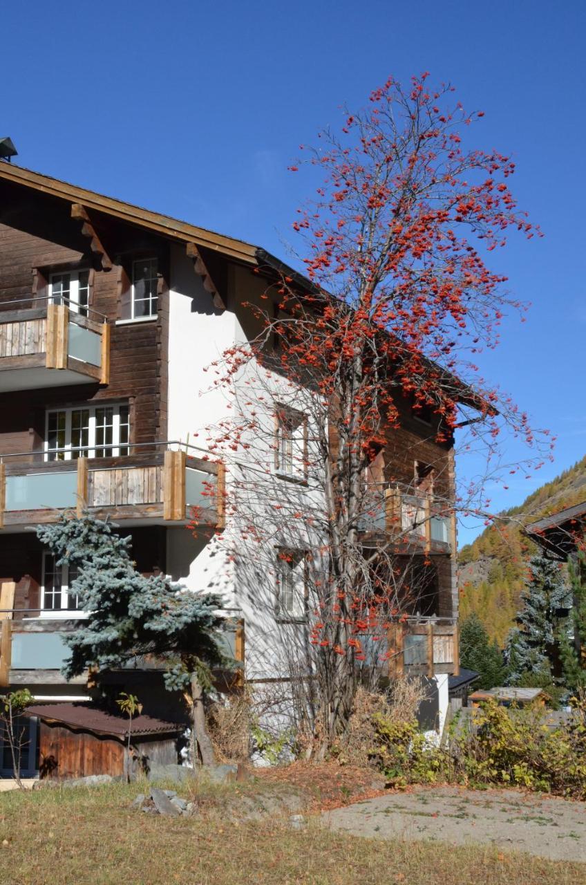 Appartamento Haus Alpenperle Saas-Almagell Esterno foto